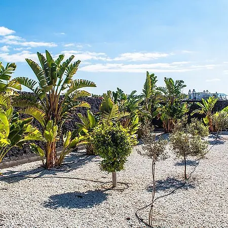 Villa Oasis *